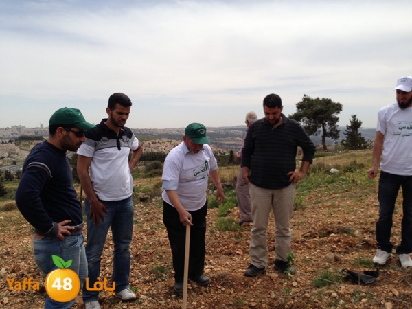 ludandyaffazaitoon (44).JPG